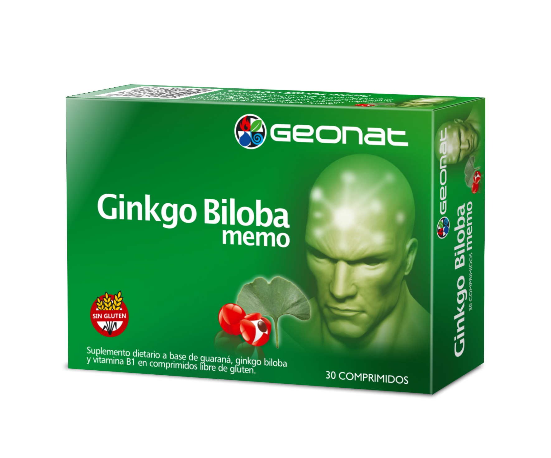 GINKGO BILOBA MEMO