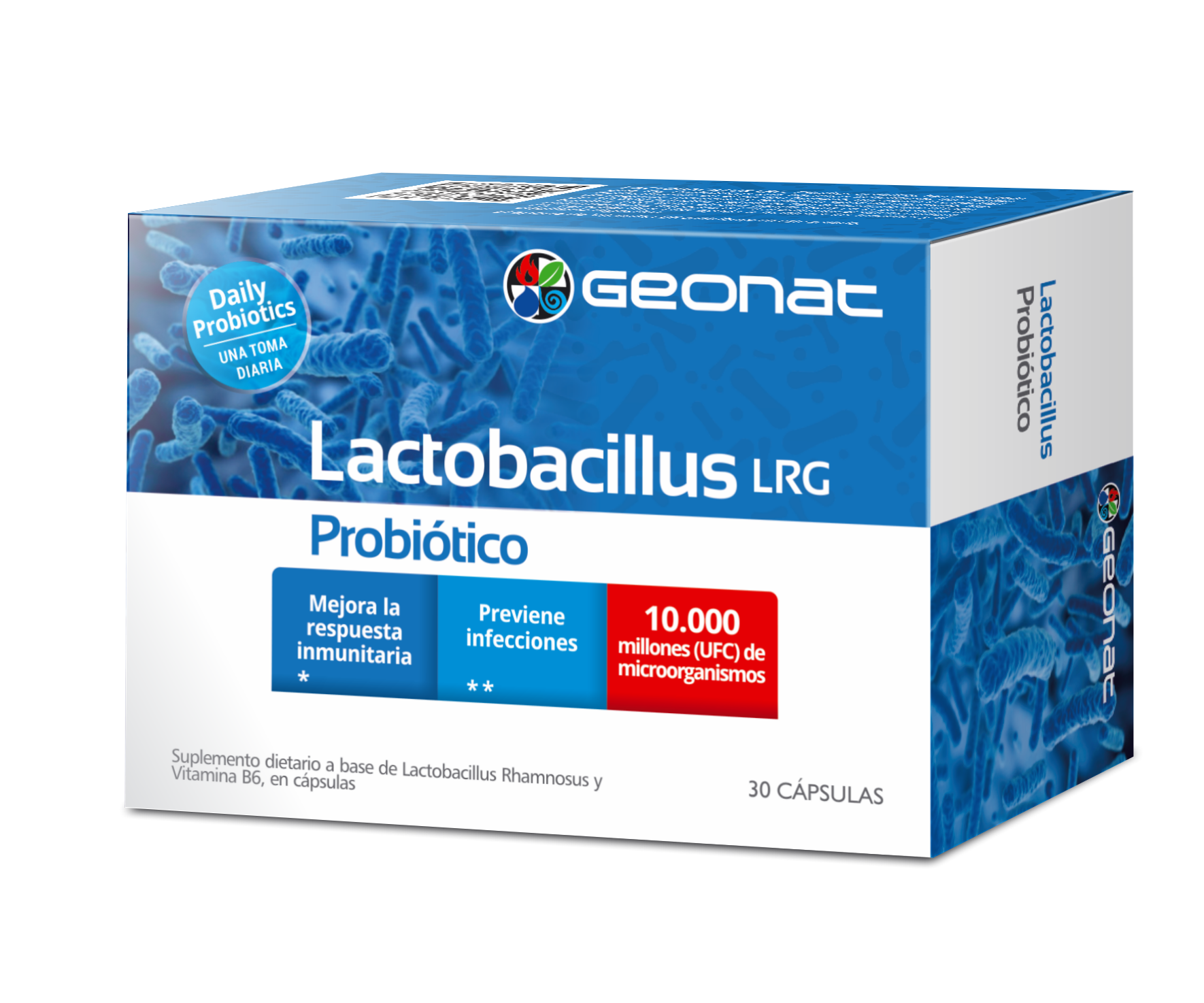 LACTOBACILLUS